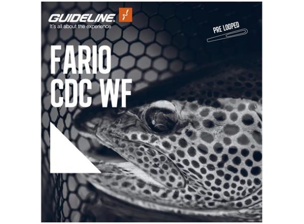Soie Guideline Fario CDC WF