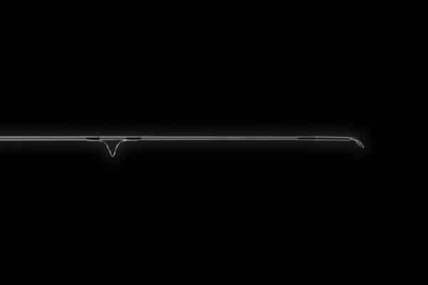 CANNE ADAMS XTZ – Image 8