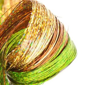 HOLOGRAPHIC FIBERS 1/69